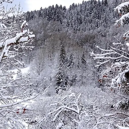 Des Cascades Mont-Dore