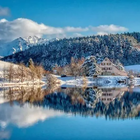 Domek alpejski Des Cascades Mont-Dore
